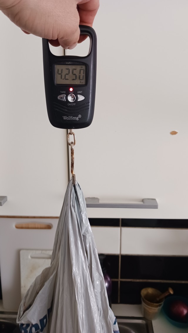 Сиг сегодня молодец!