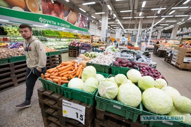 Индекс борща в Петербурге вырос до 185 рублей