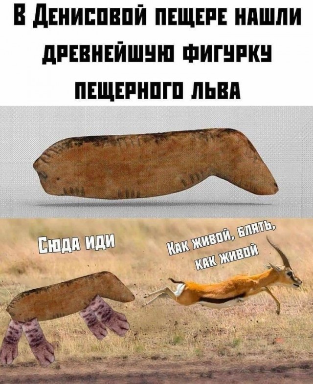 Подборка первобытного и прекрасного