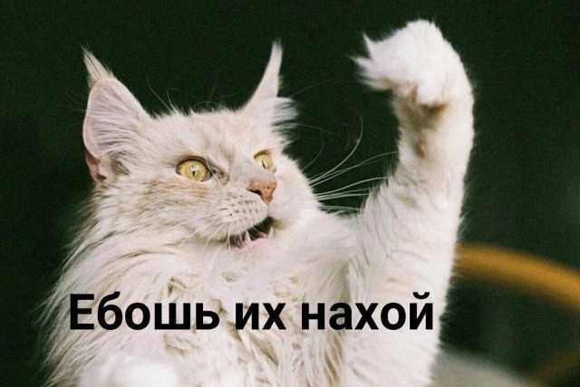 Как американцы вытесняют европейцев