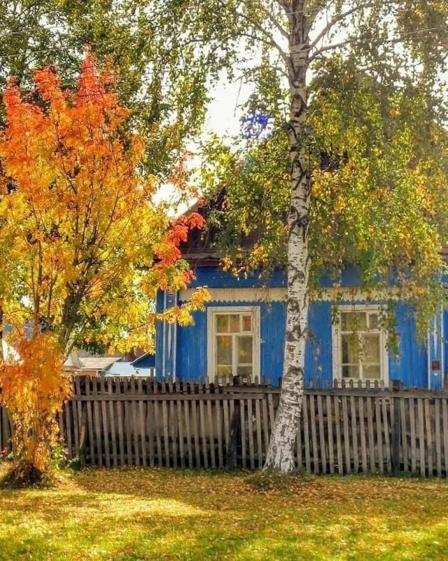 Прикольные и просо красивые картинки 05.09.2025