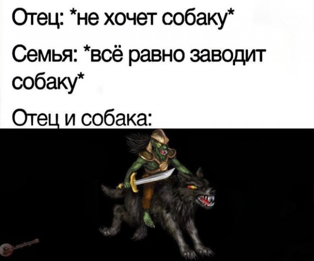 Веселые картинки в пятницу (16.01)