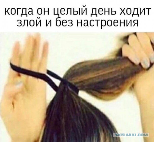 Забавные и не очень скромные картинки - 30