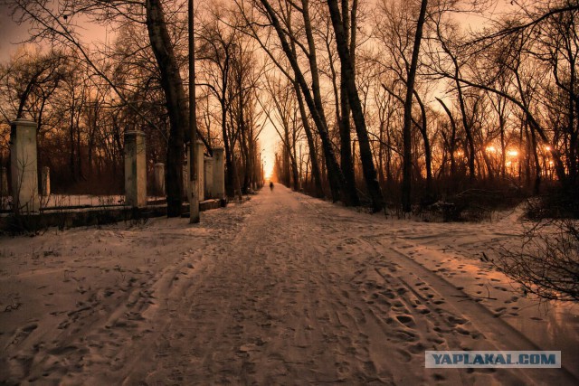 Красота природы не зависит от....