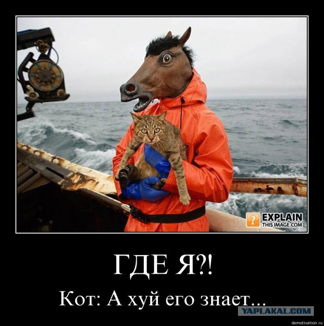 Жесткое ДТП