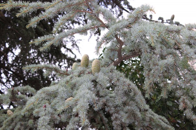 Отчёт о поездке в Крым 12.07 - 29.07