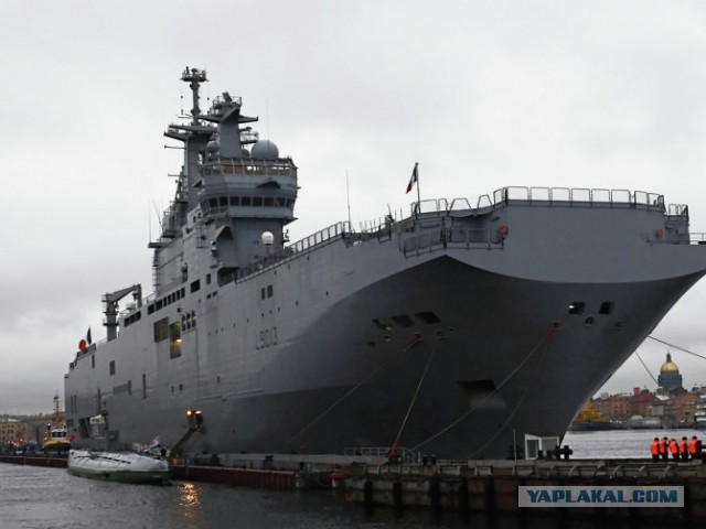 Сенатор Маккейн