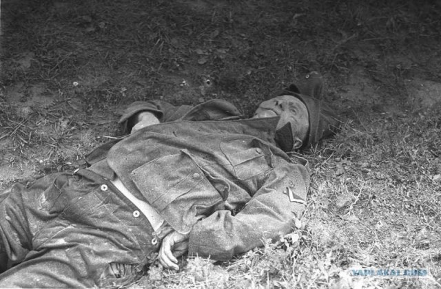 Лето 1941 года.