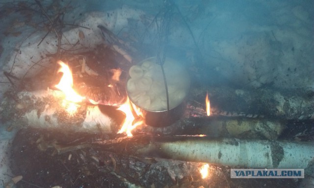 Завариваем чай в зимнем лесу