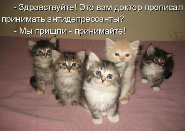 На что жалуемся?