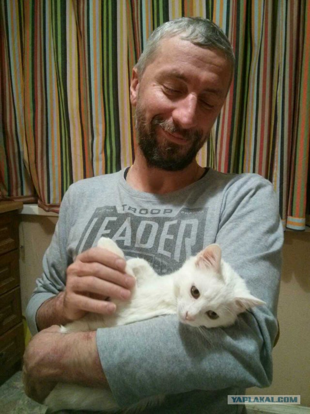 Котопёсо суббота