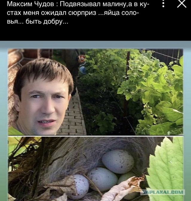 Биатлон. Межсезонье.