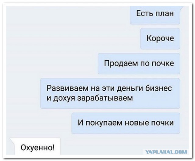 Забавные шутки, фразы и комментарии из этих ваших интернетов