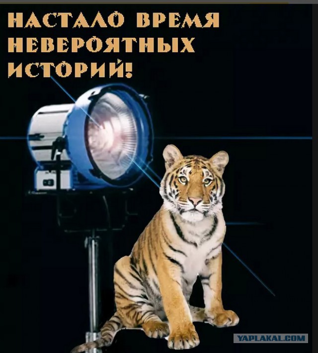 Петрович