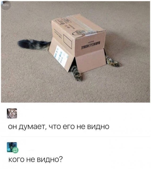 Нестандартный юмор