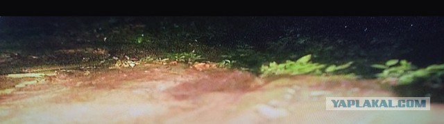 Исчезновение и трагическая гибель Лисанн Фрон и Крис Кремерс