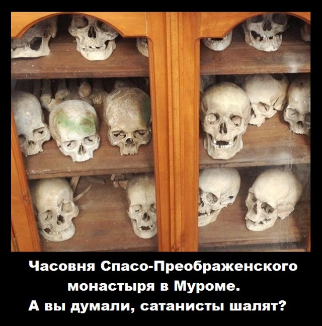 Немного весёлых картинок