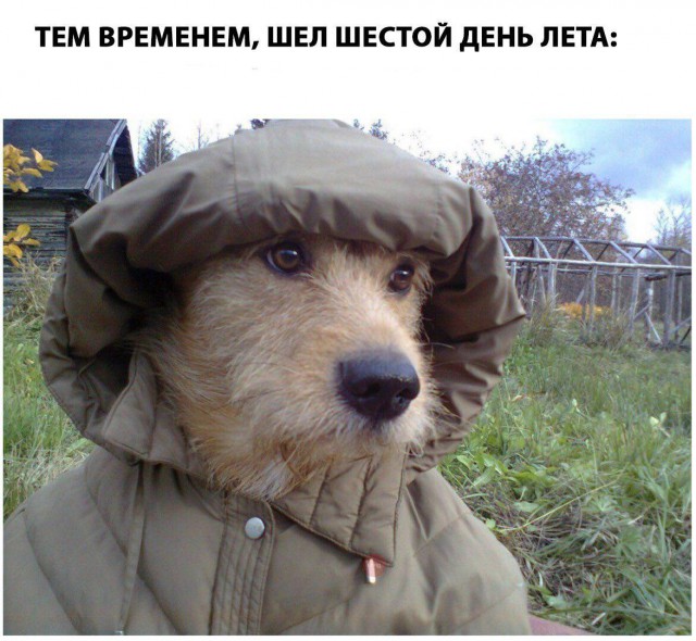 Немного весёлых картинок