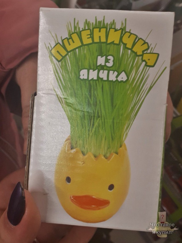 Картинки по-приколу