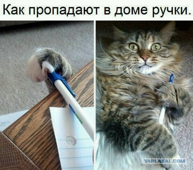 Куда бесследно исчезают вещи?