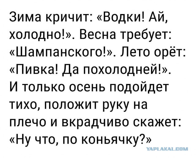 Смешные комментарии из социальных сетей 31.08.2018