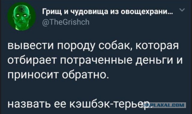 Очередные соцсети