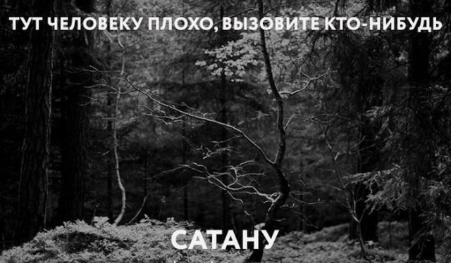 Прикольные картинки абавсём
