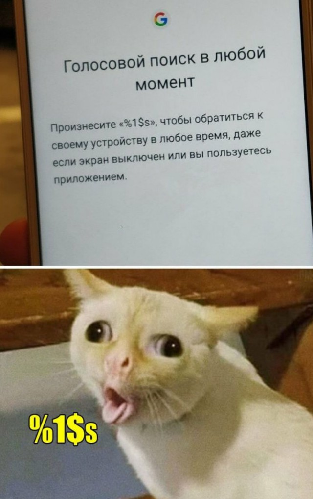 Анекдоты, истории и картинки с надписями