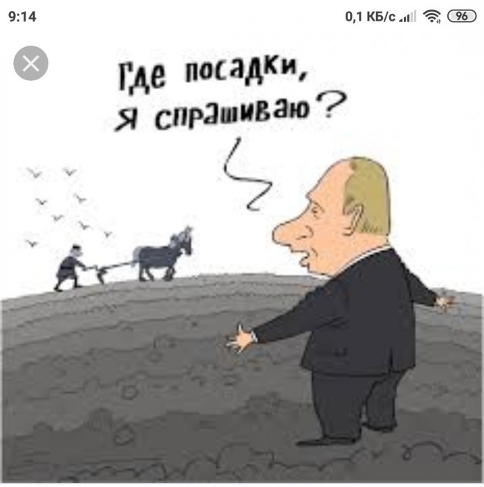 "Прямо скажем, неудачно": уже трое из правительства после критики Путина повинились за оптимизацию