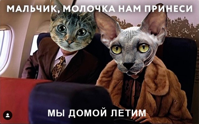 «...Водочки нам принеси!»: Даша из «Брат-2», что стало с актрисой?