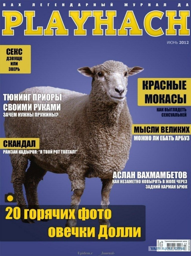 Зачем читать? Раз красный, надо брать!