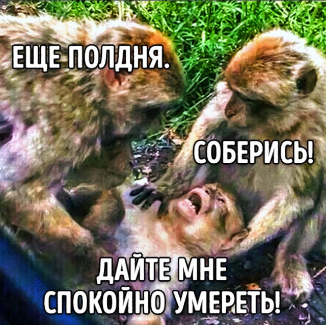 Кто мы на форумах?