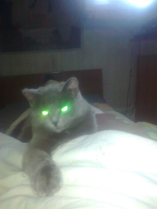 Коты с уранового рудника, надо больше урана!