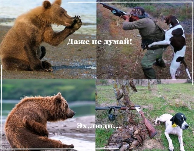 Бредзона 21.08.2020