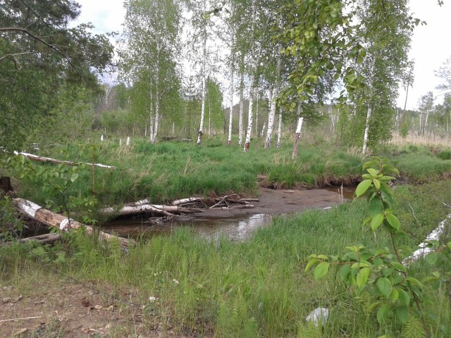 Где-то на Урале лес заменяет людям небо