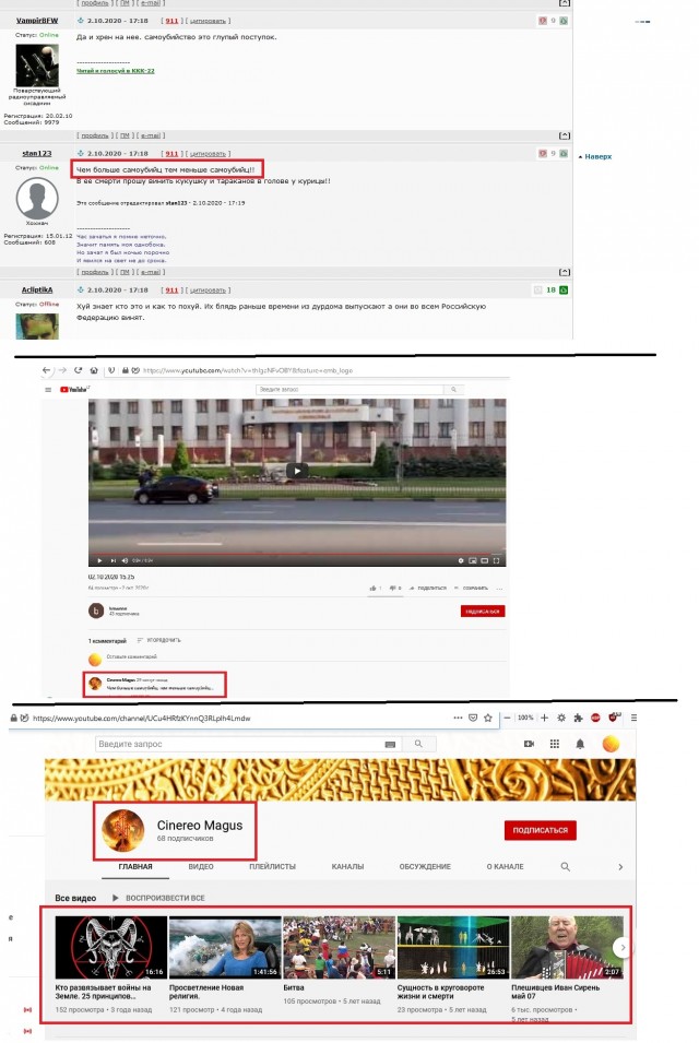 Ирина Славина сожгла себя