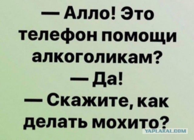 Фотки и картинки: юморные и красивые, забавные и милые 02.11.20
