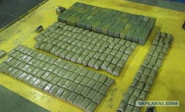 В ФСБ потеряли наркотики, который отобрали у псковских полицейских