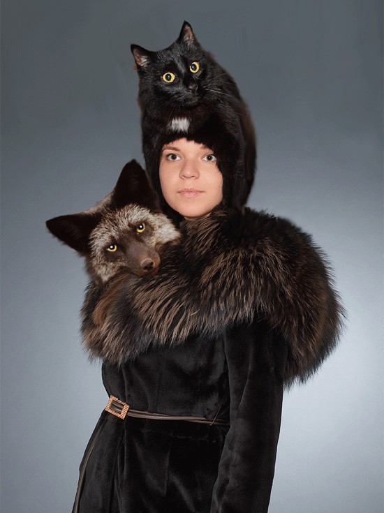 Эпичный кот