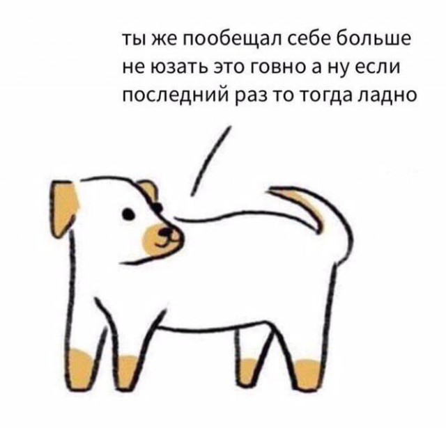Картинки. Упоротые и не очень 21.01.2021