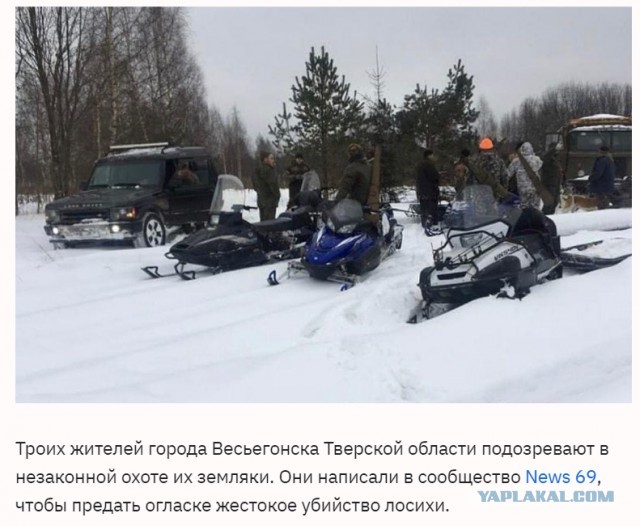 Тверские ушлёпки