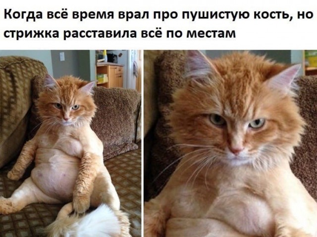 Так себе картинки 24.03.21