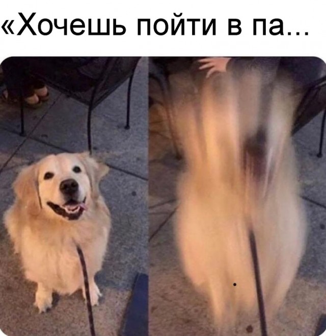 Весёлый полтишок 5.04