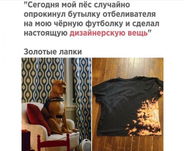 Картинки и мемы для настроения 28.04.2021