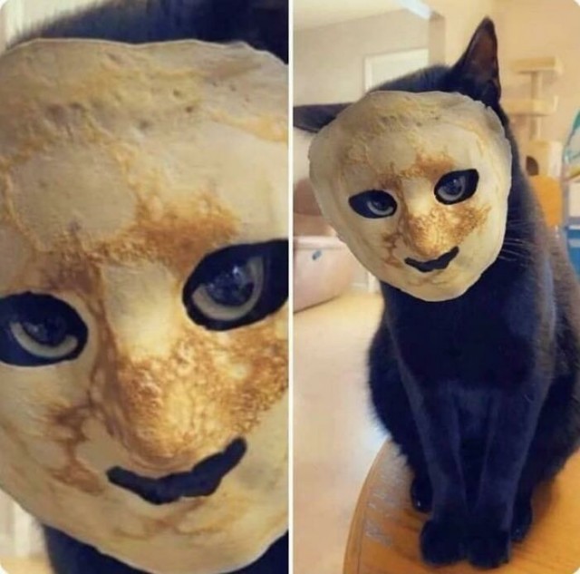Домашние монстры
