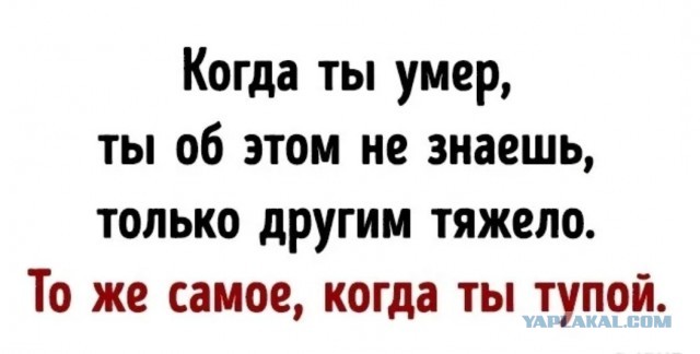 Дело бородачей нетрадиционных национальностей раскрыто