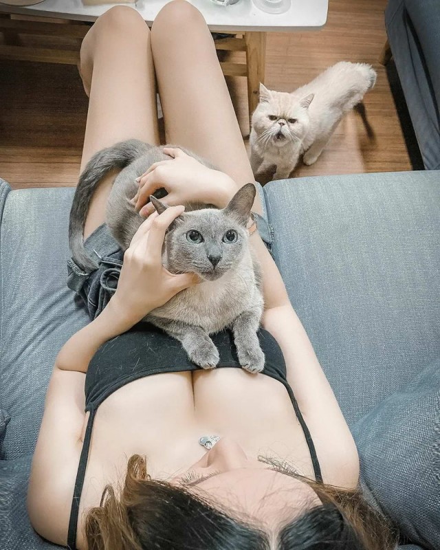 Девушки котовторника