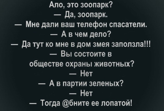 Чуток картинок 18.12.21
