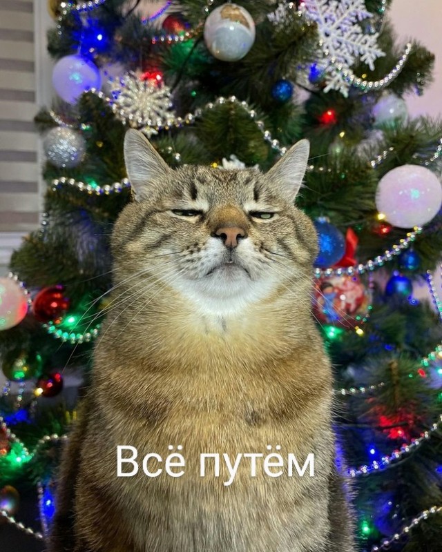 Картинки и мемы для настроения
