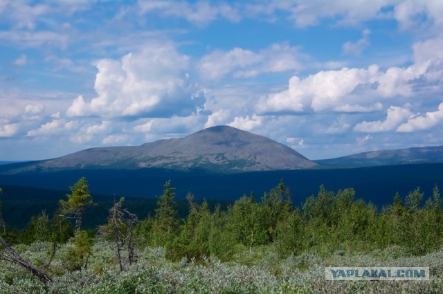 Болваны, я восьмой
